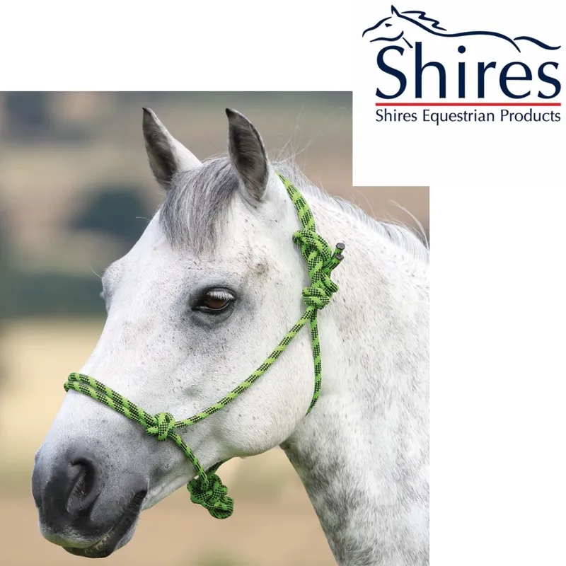 Shires Rope Control Headcollar - Lime/Black 